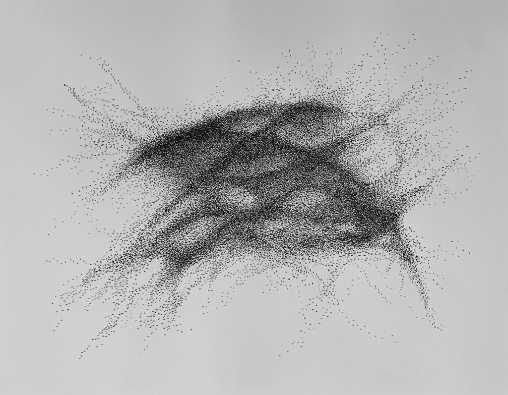 An ink drawing by Christiana Ferroggiaro